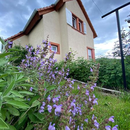Le Refuge De L'Ours Vila Baerenthal Exterior foto