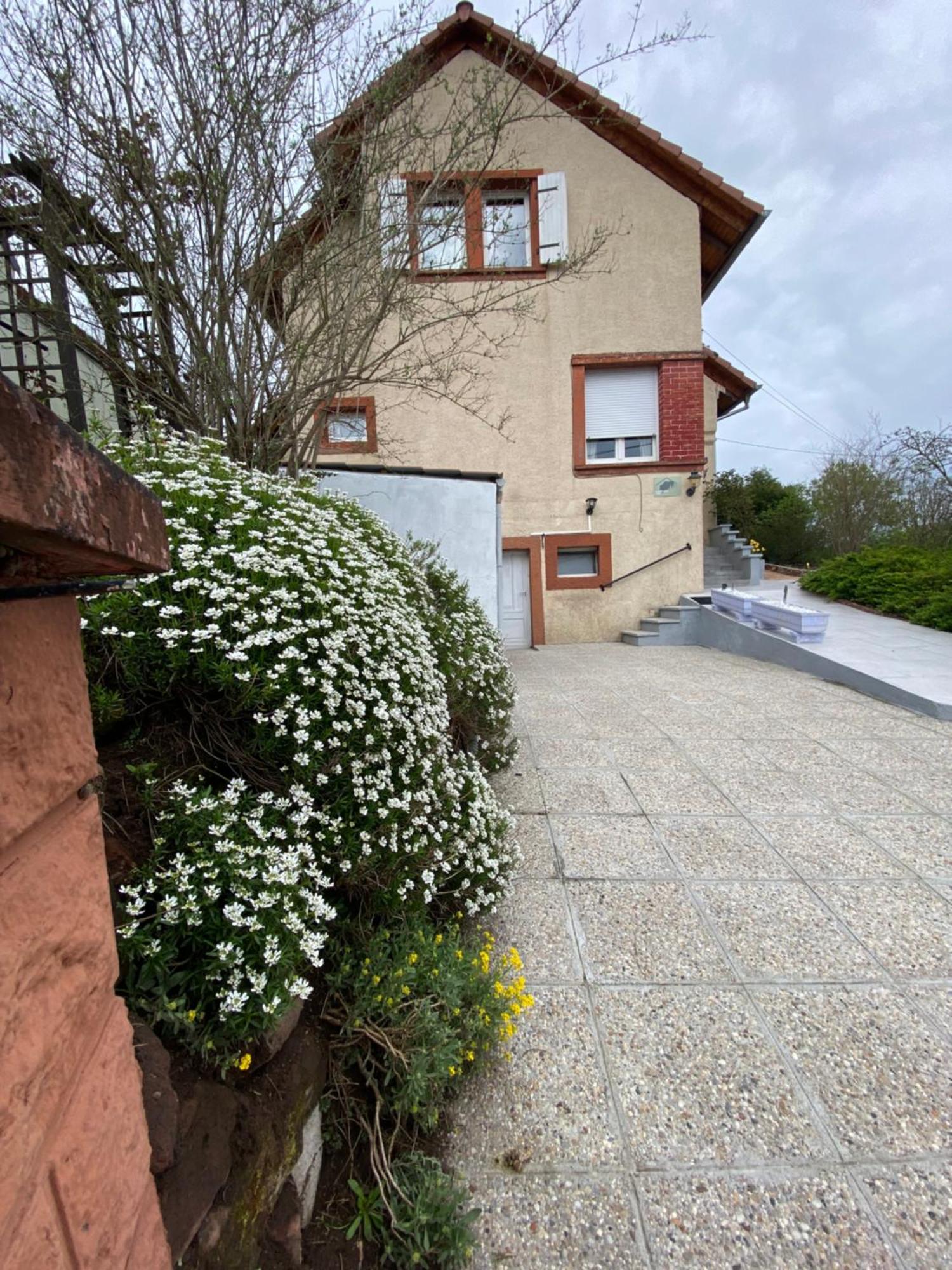 Le Refuge De L'Ours Vila Baerenthal Exterior foto
