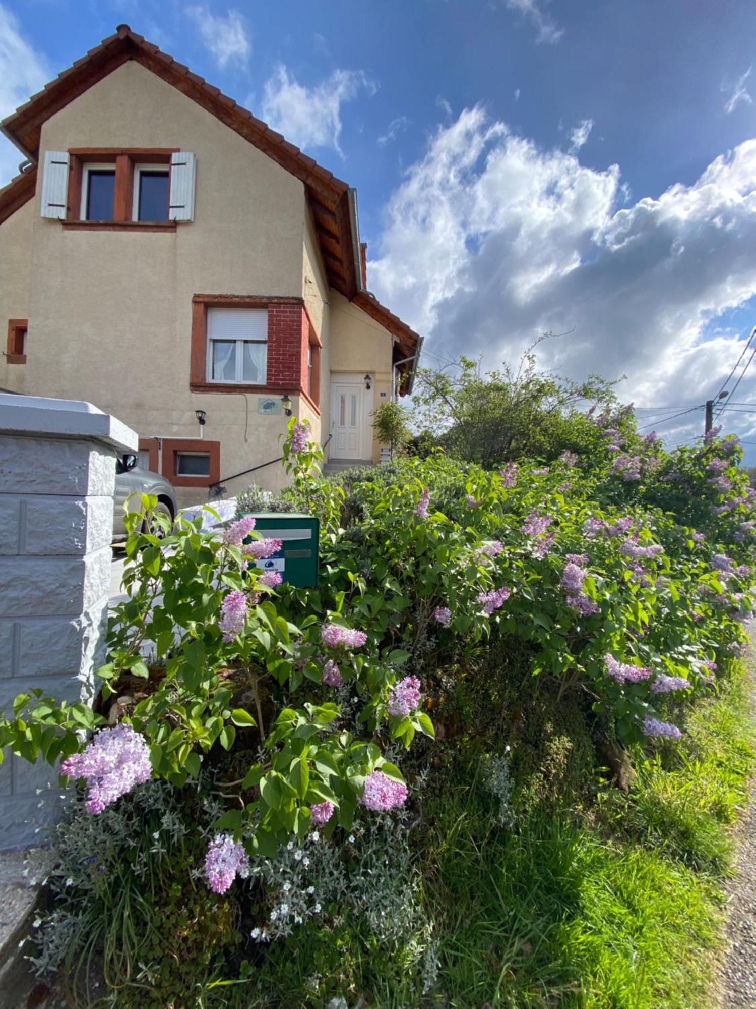 Le Refuge De L'Ours Vila Baerenthal Exterior foto