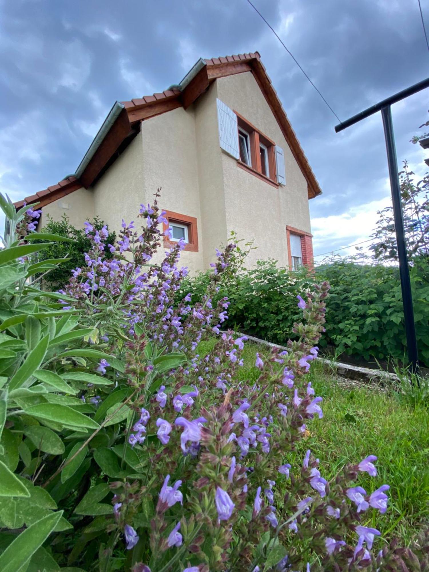 Le Refuge De L'Ours Vila Baerenthal Exterior foto