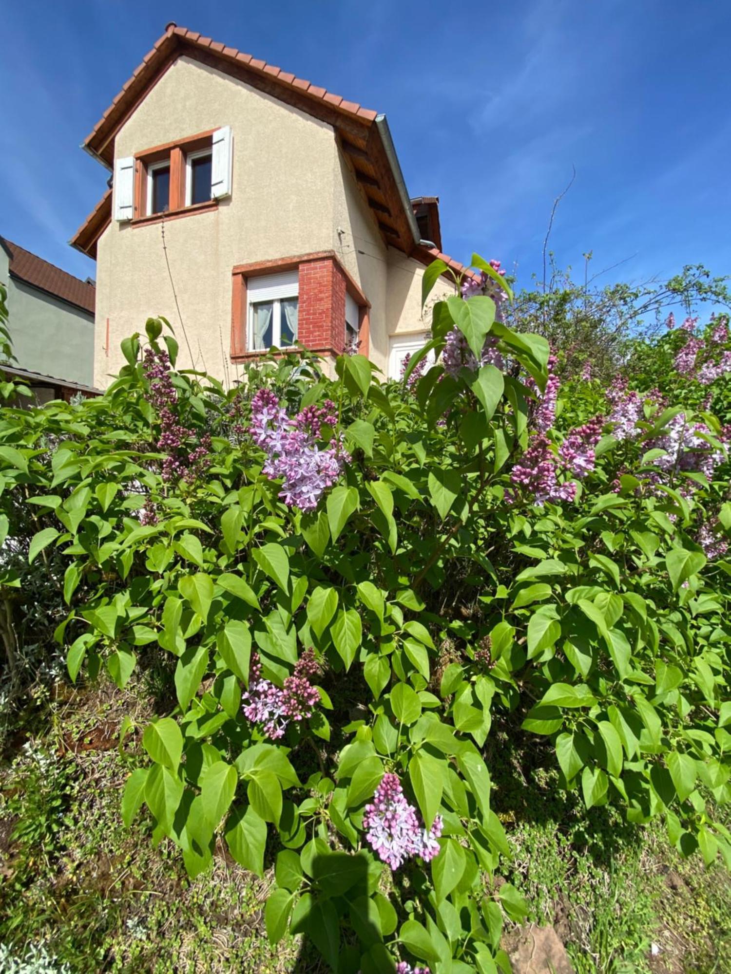 Le Refuge De L'Ours Vila Baerenthal Exterior foto