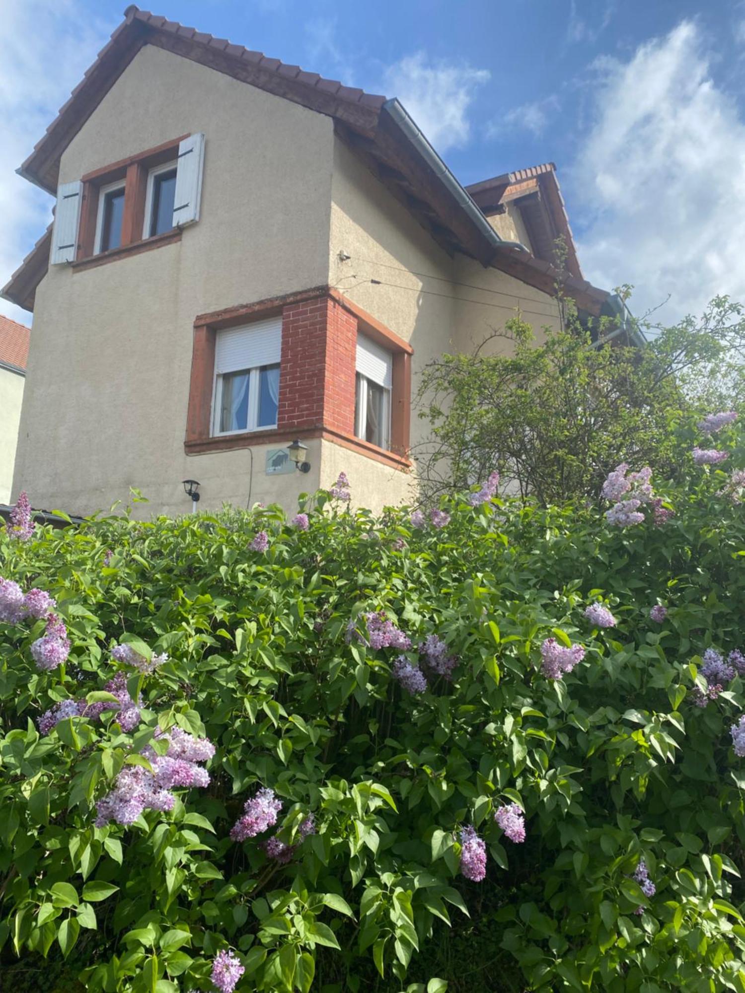 Le Refuge De L'Ours Vila Baerenthal Exterior foto