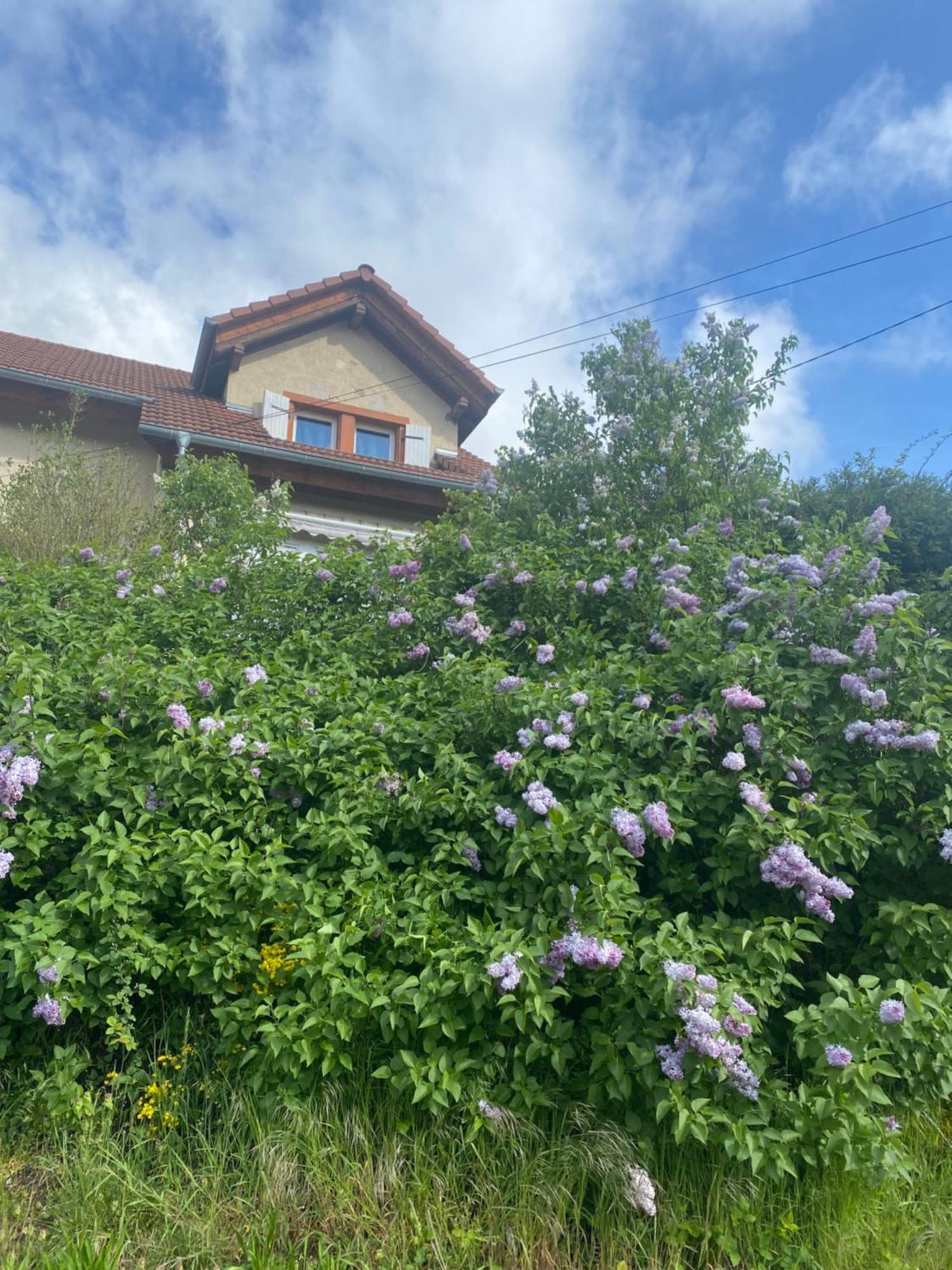 Le Refuge De L'Ours Vila Baerenthal Exterior foto