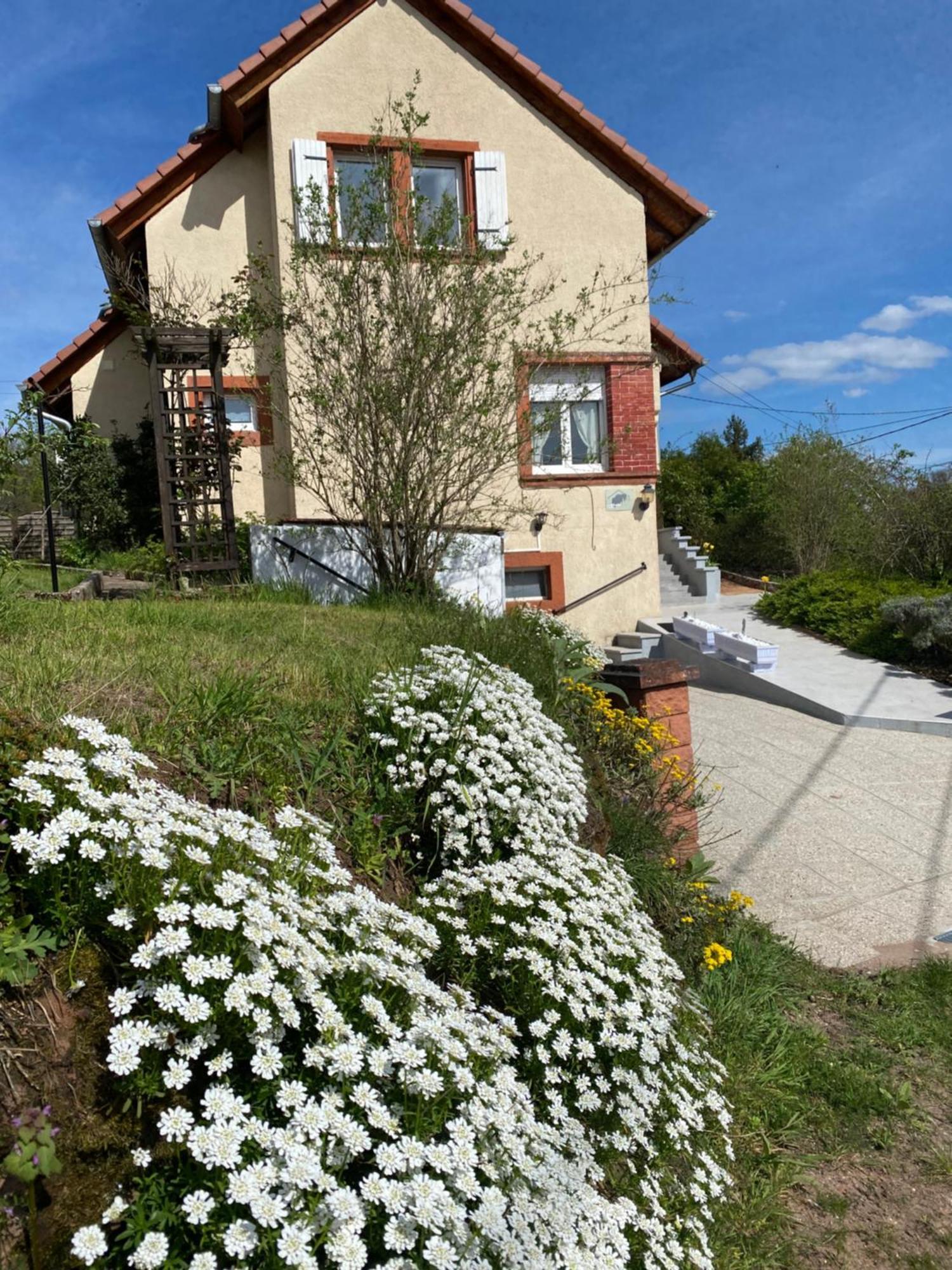 Le Refuge De L'Ours Vila Baerenthal Exterior foto